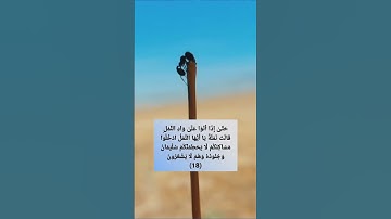حَتَّىٰ إِذَا أَتَوْا عَلَىٰ وَادِ النَّمْلِ [سورة النمل] الشيخ ماجد العويري الشيخ حريز لمهري #quran