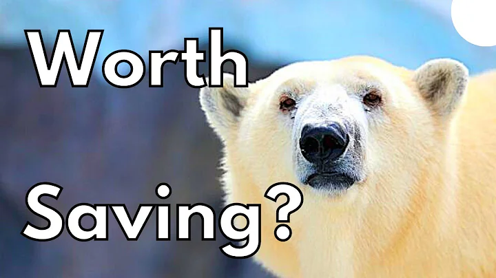 What are 3 reasons why we should save endangered species? (2023)