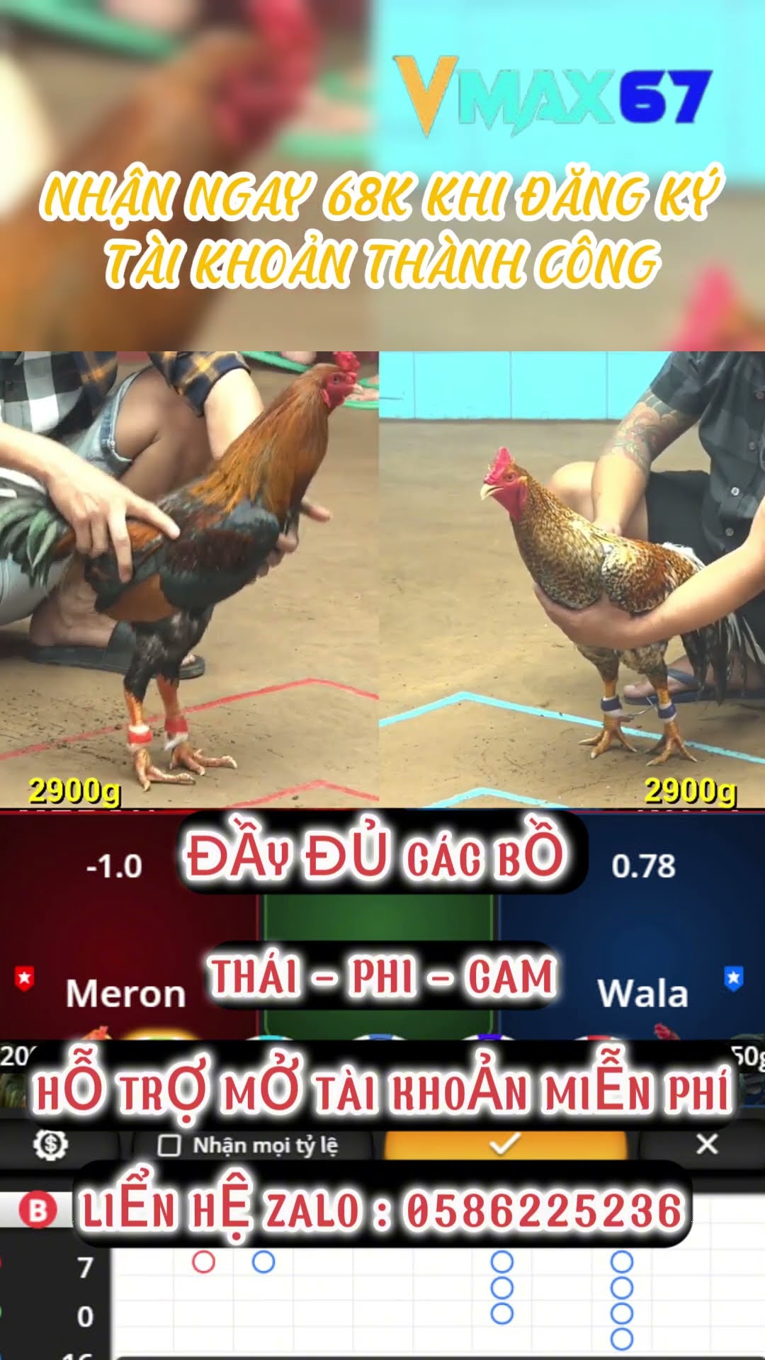 Khám Phá sin88 - Nền Tảng Phát Trực Tiếp Thể Thao Được Yêu Thích Nhất Hiện Nay