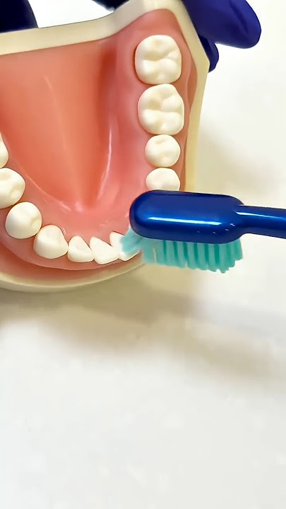 how to brush your teeth #foryou #teethcleaning #explorepage #dentalequipment #yt  #dentaleducation