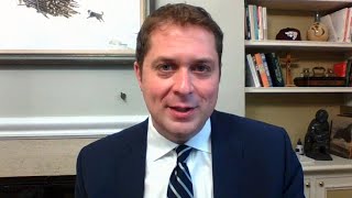 Scheer: Trudeau is being too soft on China amid COVID-19 pandemic screenshot 4