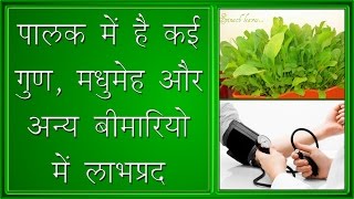 पालक में है कई गुण, मधुमेह और अन्य बीमारियो में लाभप्रद...