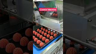 Famous Fully automatic cookie machine, can be customized to make cookies of different shapes#cookie machine Net Worth