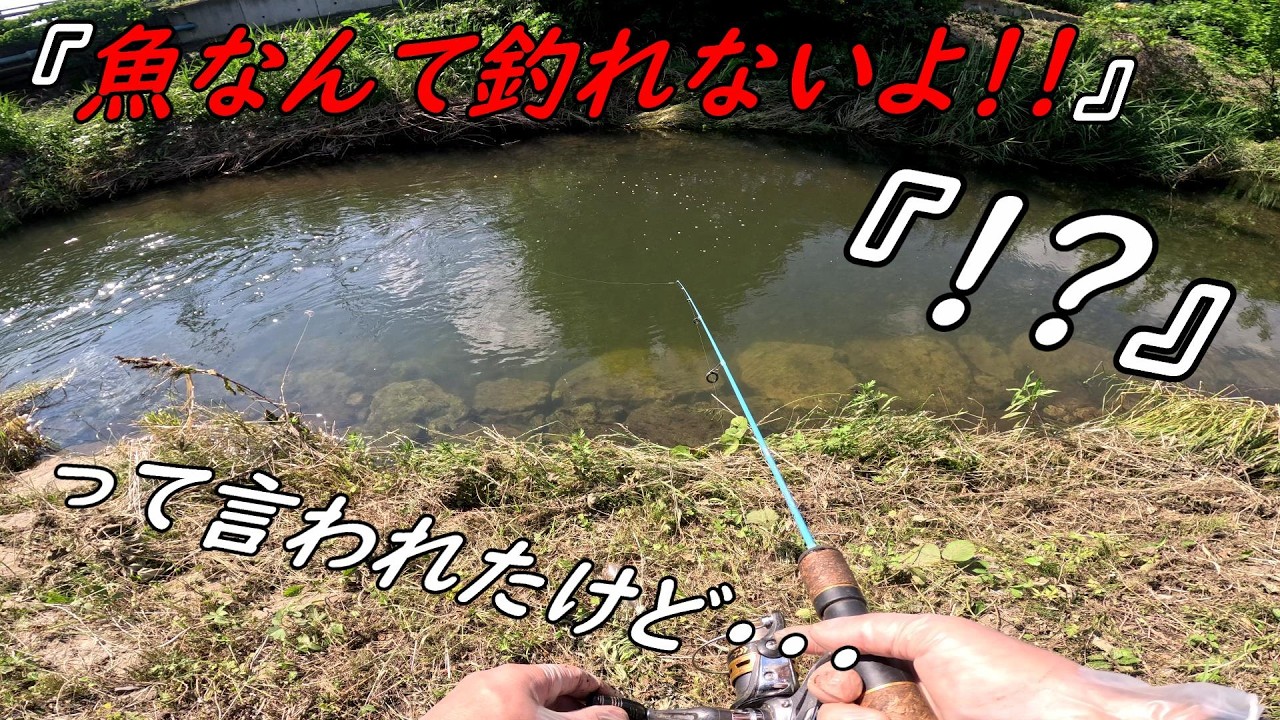 魚なんて釣れないよ！！って言われたけど釣りまくる話