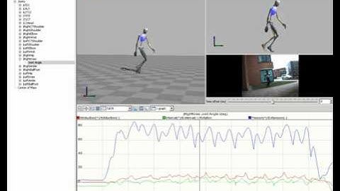 Pathological Gait analysis