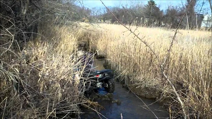 Kevin Bernier And Ryan Tonelli Swamps And Woods