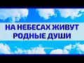 На небесах живут родные души Читает Диана Сибирская