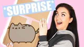 PUSHEEN SENT A HUGE PACKAGE! CLOTHING TRYON & BLIND BOX OPENINGS