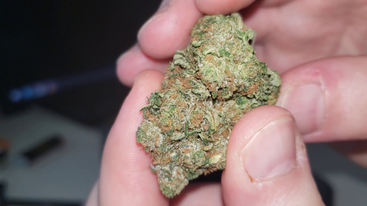 STRAIN REVIEW 183: death tuna - Dnmn