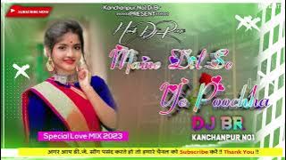 Maine Dil Se Ye Poochha | Old Is Gold Hindi Dj Song | Full Love Special Dance Mix | Dj Br Daijee