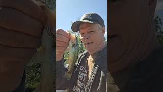 In God fishing caught a Largemouth Black Bass at a private pond in Dennard Arkansas #fishing #bass