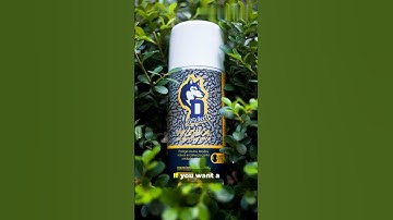 Stop Lizards Now - 3 Easy Ways to Fix🦎🔴! #facts #lizard #rids #trendingshorts