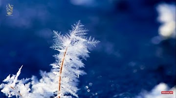 سورة إبراهيم /آية (٤١-٥٢) (إسلام صبحي)❤️🌸