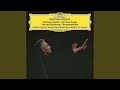 Miniature de la vidéo de la chanson Tod Un Verklärung