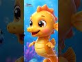 Canción del Pequeño Caballito de Mar - Little Seahorse Song| Rhymes for Kids | Galatta Kids | Shorts