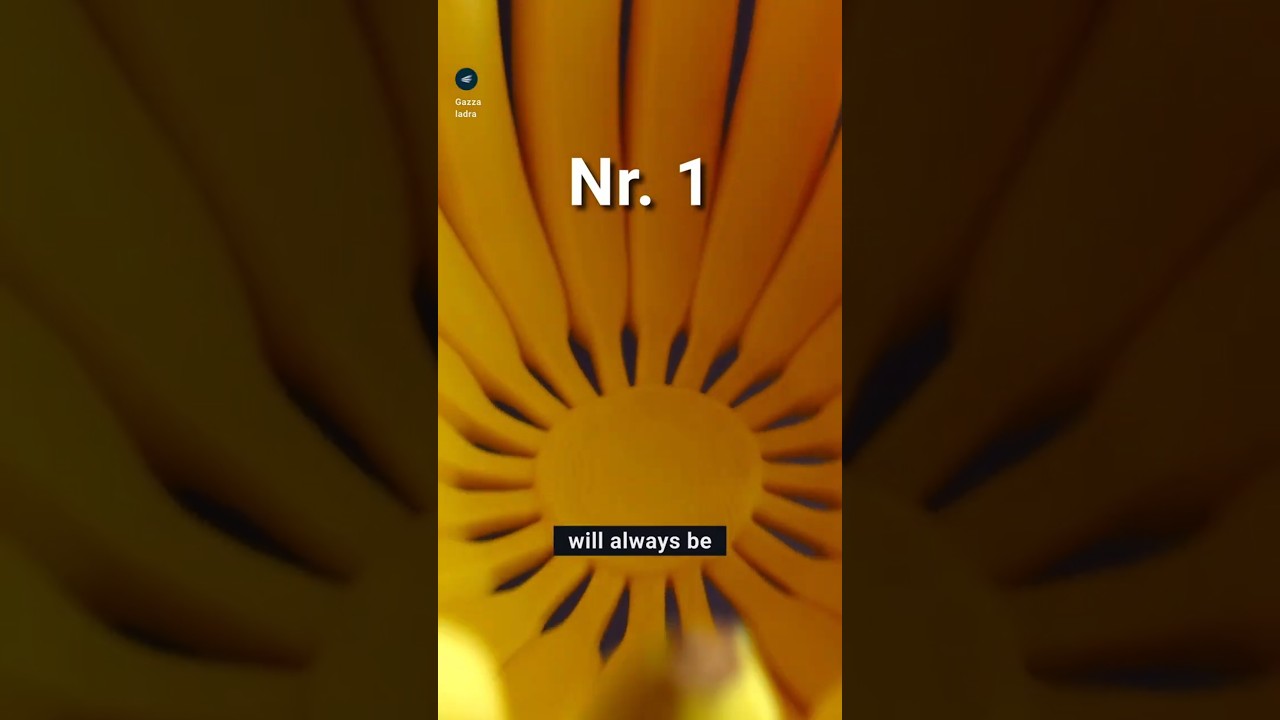 Мой сюрреалистический дизайн, напечатанный на 3D-принтере! Когда навязчивые мысли побеждают 