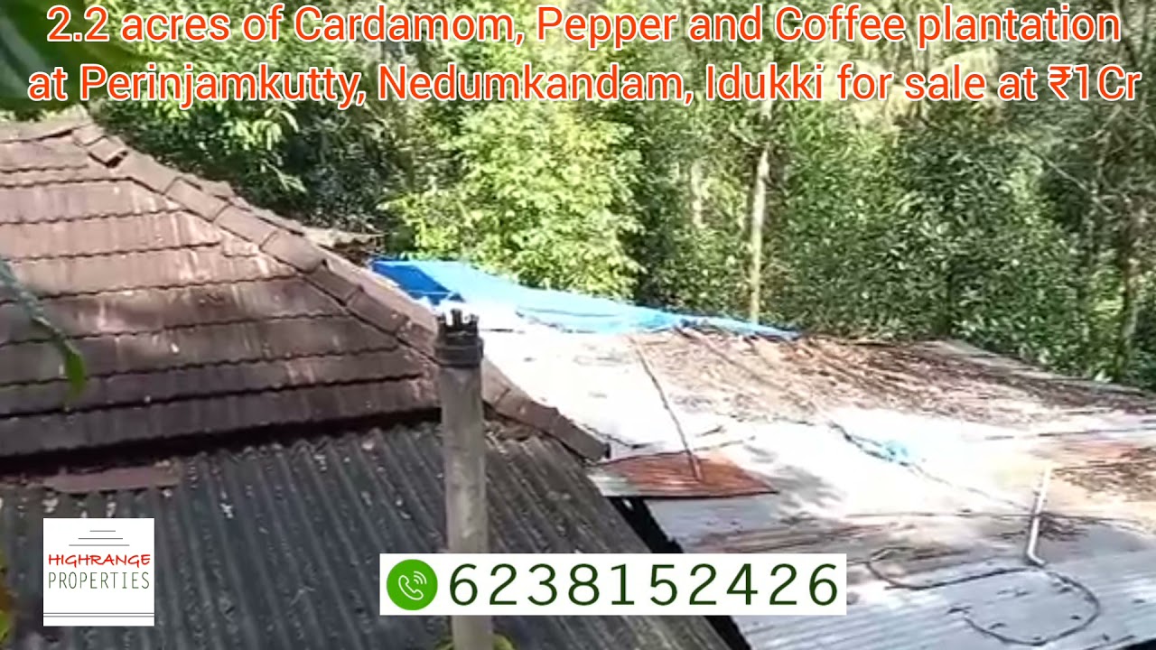 2.2 acres of Cardamom, Pepper and Coffee plantation near Nedumkandam, Idukki for sale at ₹1Cr