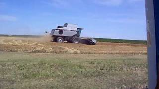 cutting some shitty wheat south of burlington colorado