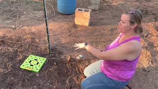 Planting Zucchini & Talking About Our #1 Tip for Preventing Pests Like Squash Bugs!