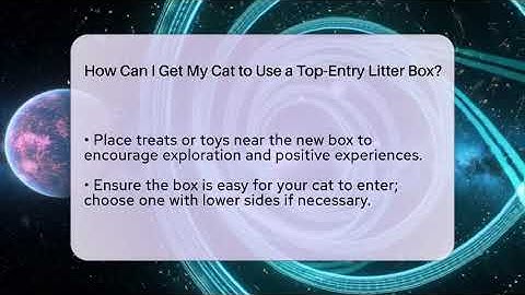 How Can I Get My Cat to Use a Top-Entry Litter Box? | Happy Cat Handbook