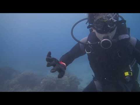 2016.7.4香港3帥1美-3