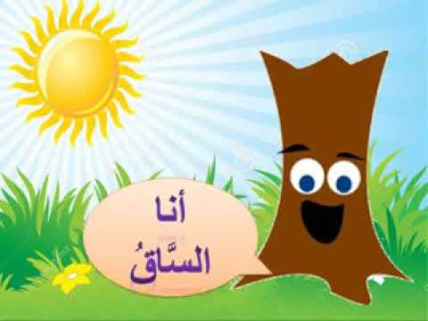أهمية الساق
