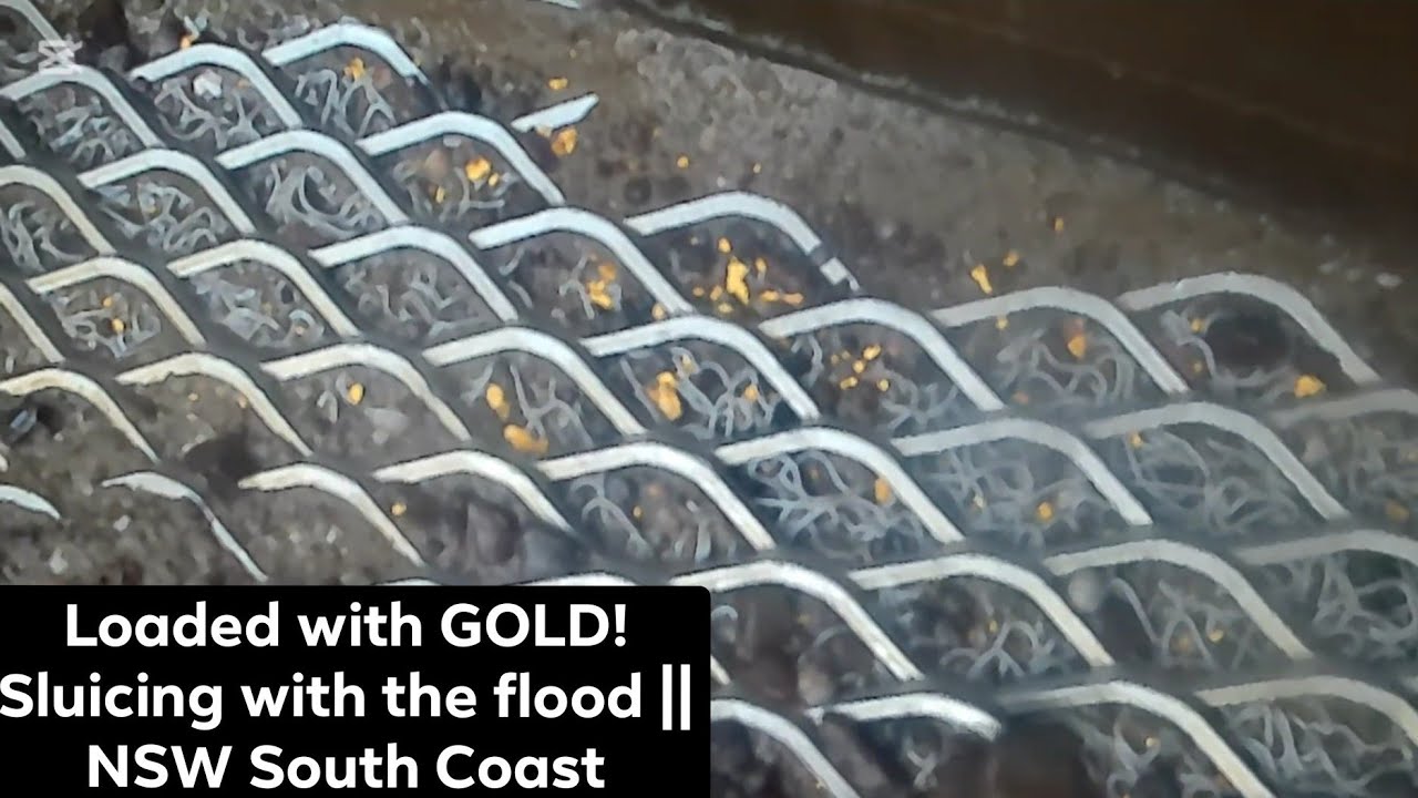 Sluicing with flood waters || Insane gold Mogo State Forest