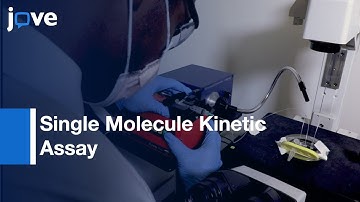 Parallel High Throughput Single Molecule Kinetic Assay:Site-Specific DNA Cleavage l Protocol Preview