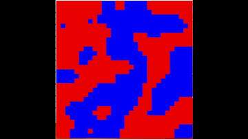 Order out of Chaos (Ising Model Metropolis Algorithm)