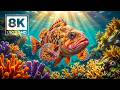 TROPICAL FISH 8K ULTRA HD – Crystal Clear Aquarium Views &amp; Ocean Relaxation