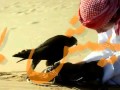 أنشودة رائعة ارضاء الناس غاية لا تدرك  