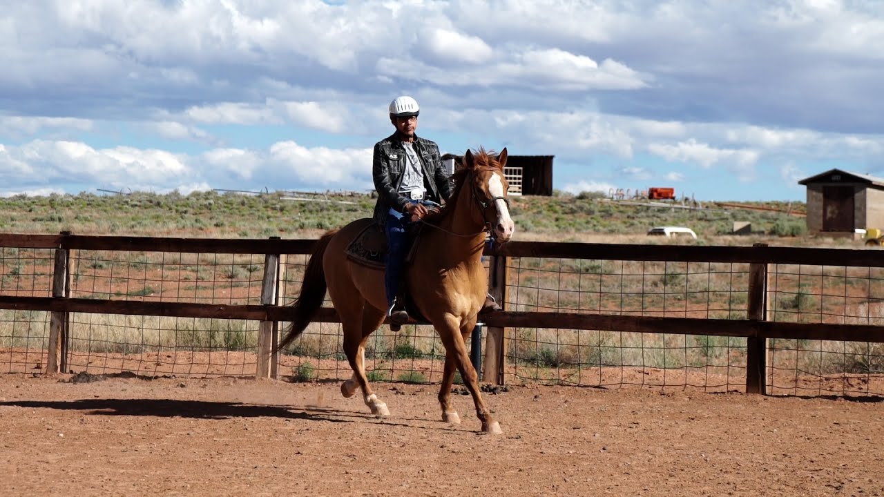 Weekly Mission Video - Hope on Horseback