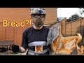 Can bread stop a high powered airsoft rifle