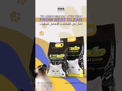 قل وداعا لمشاكل رمل فضلات قطتك وجرب الآن رمل فضلات القطط الرائع من