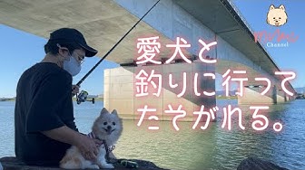 犬と釣り Youtube 犬と釣り Youtube