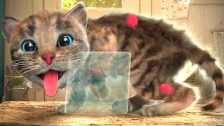 Animated Little Kitten Adventure and friends - kindergarten learning Cartoon for kids and Toddlers by LITTLE KITTEN FRIENDS 38,117 views 3 weeks ago 23 minutes