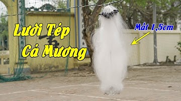 Lưới Đánh Tép,Cá Mương Mắt 1,5cm lọt đầu đũa #250k