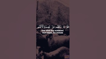 سورة الحج | تلاوة خاشعة