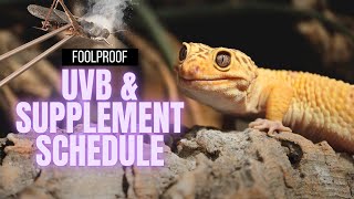 How To Use Reptile Supplements & UVB Correctly | Beginner's Guide