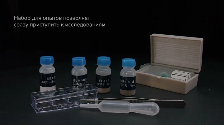 Микроскоп Levenhuk Rainbow 50L PLUS | Четыре глаза – имиджевое видео