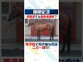 【関屋記念 2026】今週の新潟は雨！重馬場で上位評価すべき1頭を紹介！