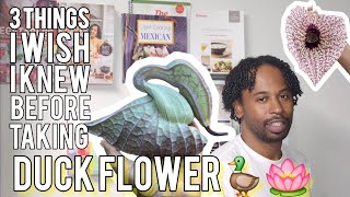 3 THINGS I wish I knew before taking the DUCK FLOWER detox