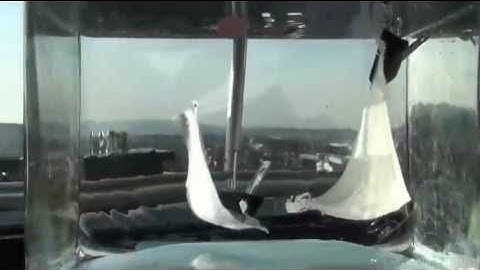 Superhydrophobic Surfaces