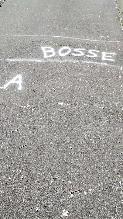La bosse