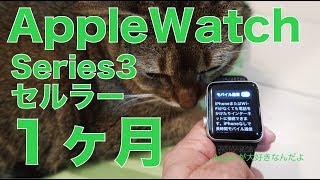 AppleWatch Series3セルラーモデルの使用1ヶ月。良かったこと残念だったこととモバイル通信をどう考える？