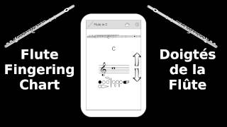 Flute Fingering Chart (application android) screenshot 2