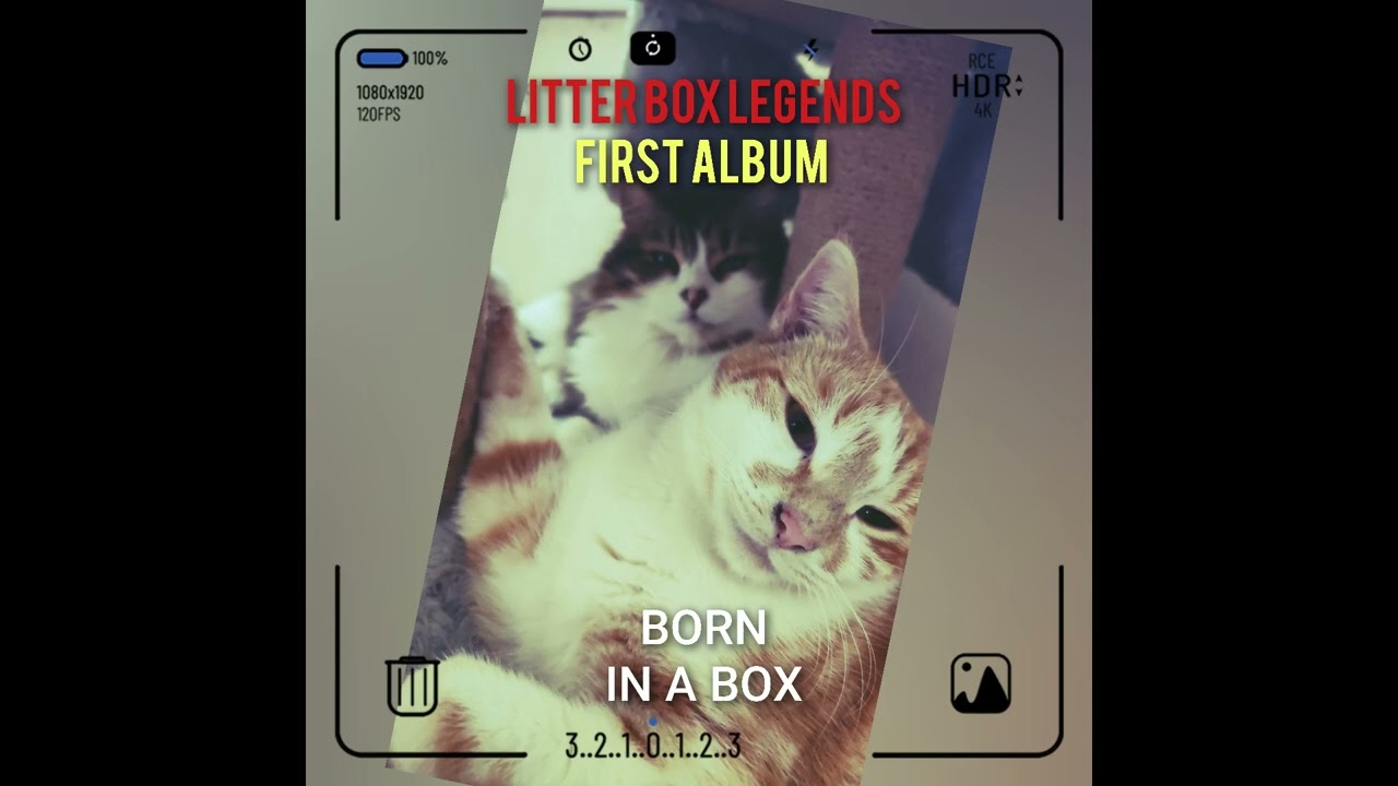 Litter Box Legends - Smell Like a dog
