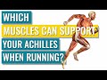 Muscles We Use For Running