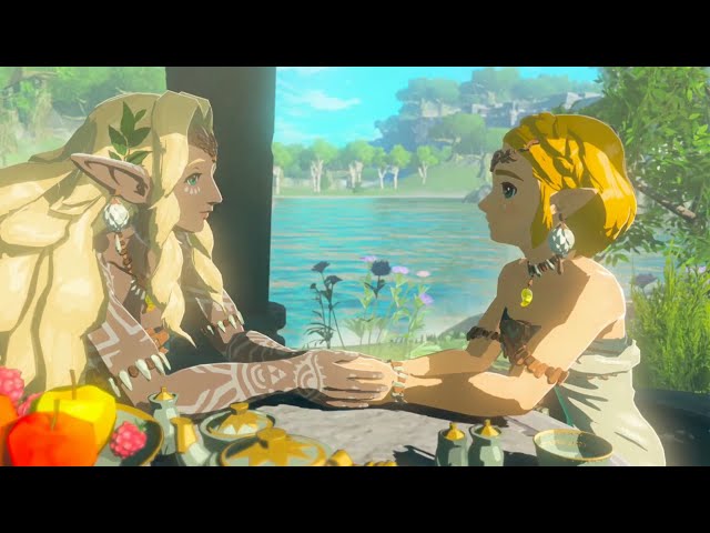 Tears of the Kingdom's NPCs Really Just Want Link to Put Some Clothes on -  IGN