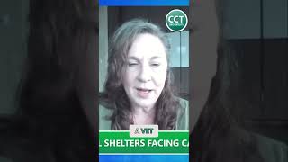 Pet Owners Surrender Pets: Legal Help & Avoiding Eviction Crisis! #shorts